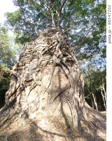 地雷除去の写真素材