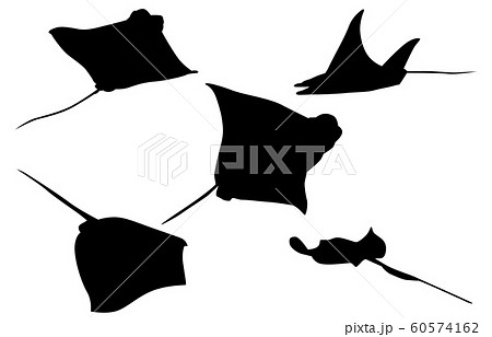 エイ マンタのイラスト素材集 Pixta ピクスタ