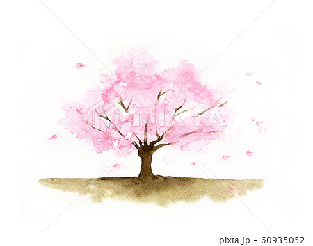 散る 桜 花 木のイラスト素材