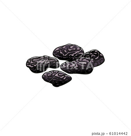 プルーンのイラスト素材