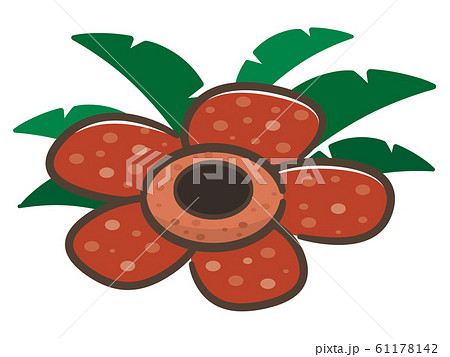 ラフレシアのイラスト素材