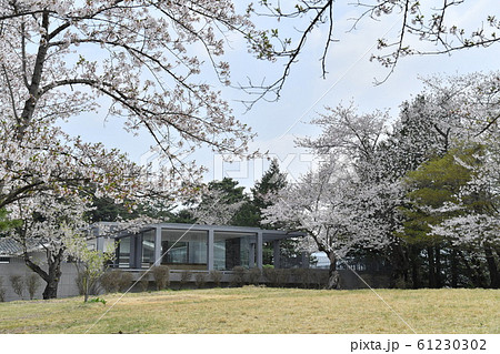 斎藤茂吉の写真素材