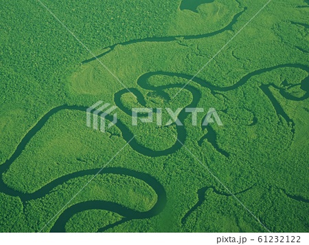 アマゾン川 空撮 ジャングル ブラジルの写真素材