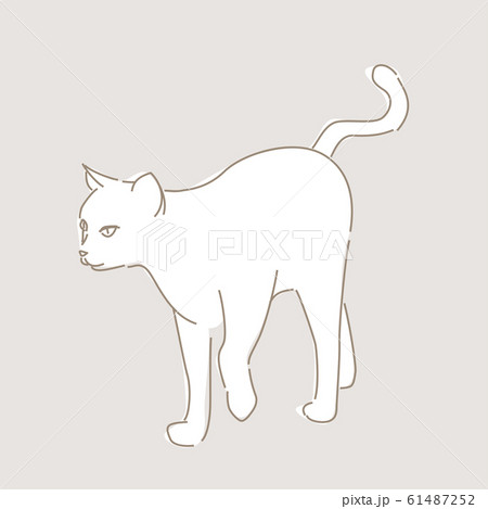 猫 イラスト スケッチ ペン画のイラスト素材