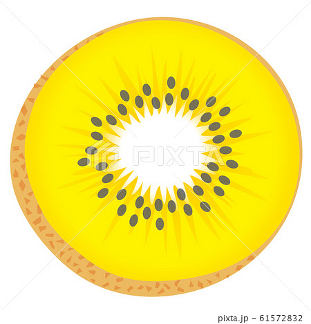 ゴールデンキウイのイラスト素材