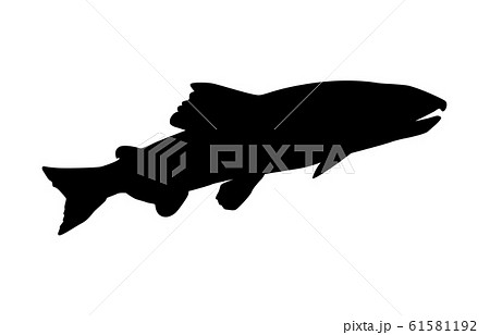 アユ あゆ 鮎 魚のイラスト素材 Pixta