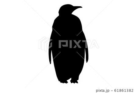 ペンギン 南極 海 ベクターのイラスト素材