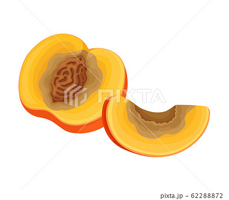 Spoiled and Rotten Mango Fruit with Skin - Stock Illustration [62288874]  - PIXTA