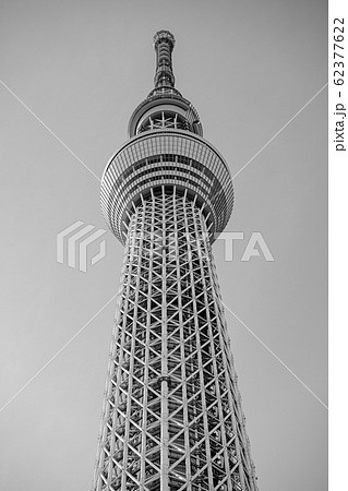 東京スカイツリー 風景 白黒 モノクロームの写真素材