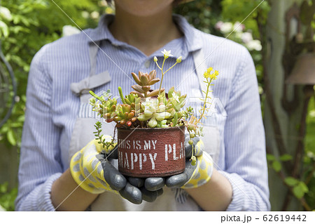 園芸用品 鉢植え 花壇 ミニチュアの写真素材