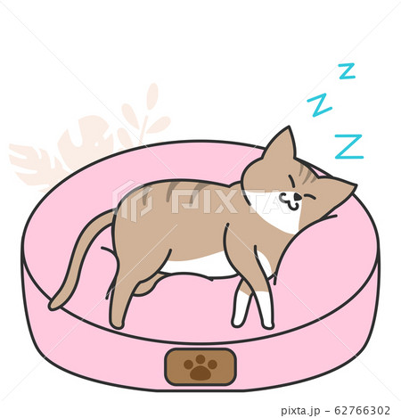 眠り猫のイラスト素材