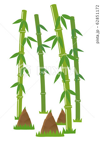 竹の子のイラスト素材