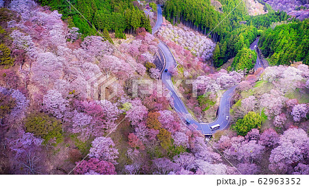 千本裕三、【紅葉の境内（談山神社）】、希少な大判額装用画集より、美品、日本人画家 千本裕三、【紅葉の境内（談山神社）】、希少な大判額装用画集