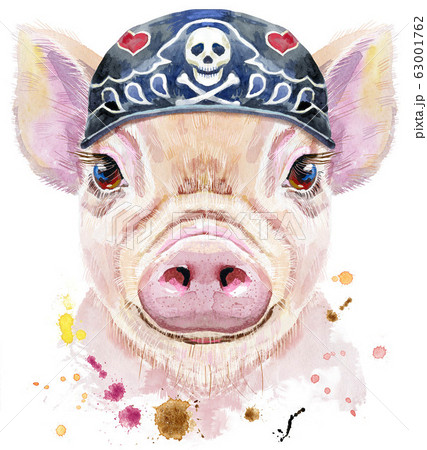 豚 子豚 正面 動物のイラスト素材
