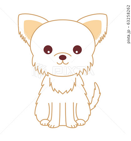 ベクター 犬 チワワ お座りのイラスト素材