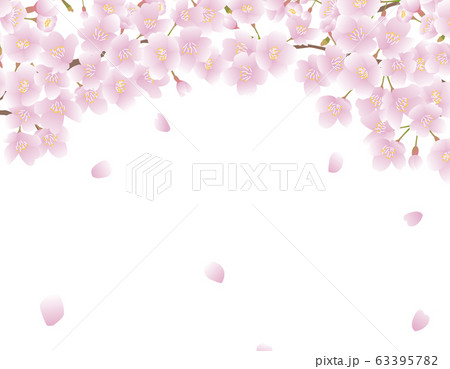 花弁の写真素材