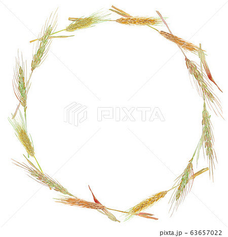 麦の穂のイラスト素材 - PIXTA