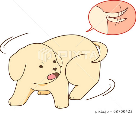 犬 しっぽのイラスト素材