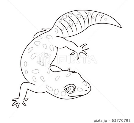 ヒョウモントカゲモドキのイラスト素材