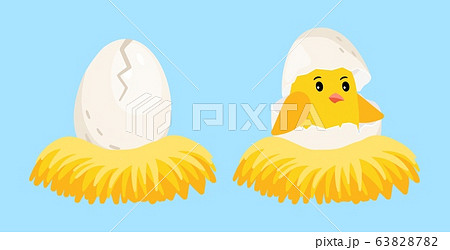 ひよこ 卵のイラスト素材