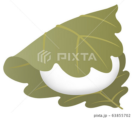 柏餅の葉っぱのイラスト素材