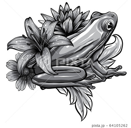 蓮の花 カエル ハス かえるの写真素材