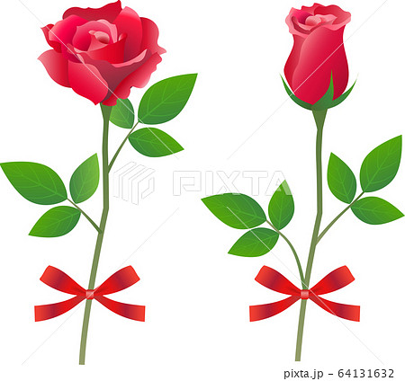 薔薇 バラ 赤バラ 一輪の花のイラスト素材