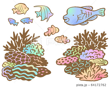 サンゴのイラスト素材