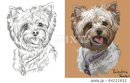 ヨークシャーテリアのイラスト素材