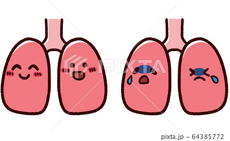 肺のイラスト素材
