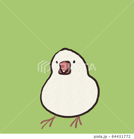 正面を向いた文鳥 背景カラー のイラスト素材