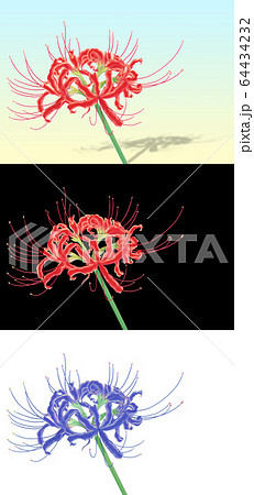 赤い彼岸花のイラスト素材