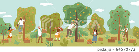 果物畑のイラスト素材