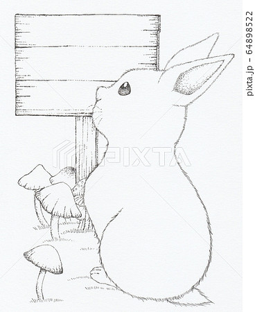 うさぎ かわいい 横顔 ウサギのイラスト素材