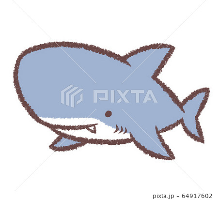魚 サメ 動物 海水魚のイラスト素材
