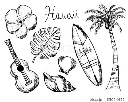 ハワイのpng素材集 ピクスタ