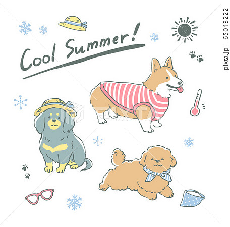 犬 販売 服 デザイン 画