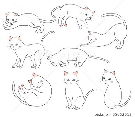 白猫 動物 猫 かわいいのイラスト素材