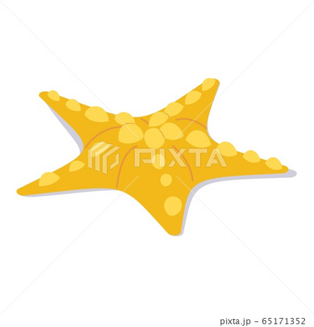 星の砂 テクスチャ カラーのイラスト素材