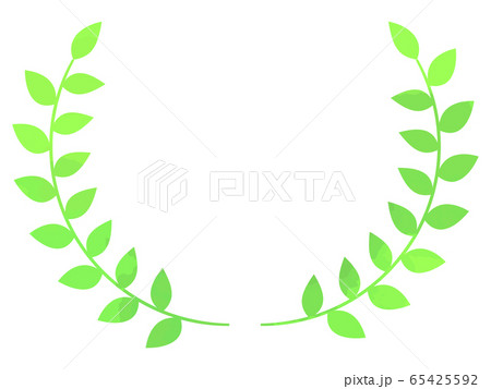 月桂樹月桂插圖素材