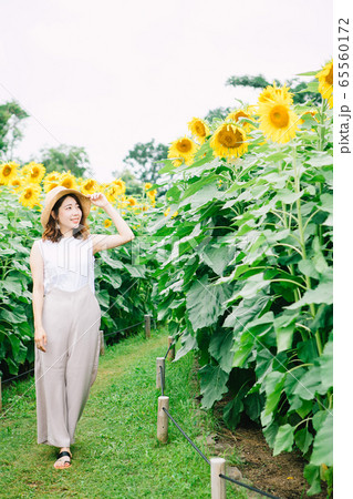 花 向日葵 麦わら帽子 ひまわり畑の写真素材