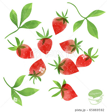 苺 いちご イチゴ 手書きのイラスト素材 Pixta