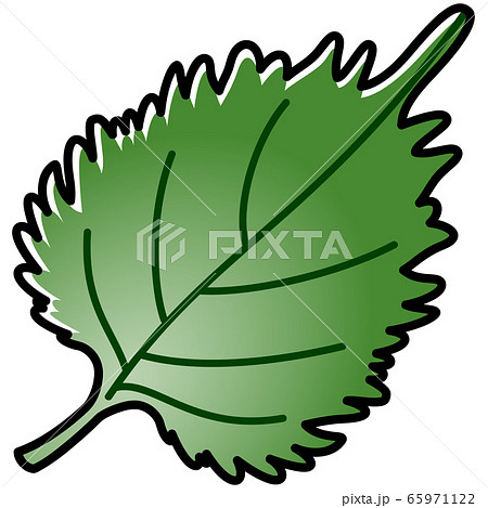 しそのイラスト素材