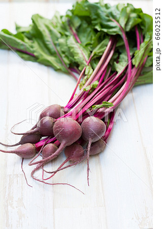 テーブルビート 野菜 植物 食べ物の写真素材