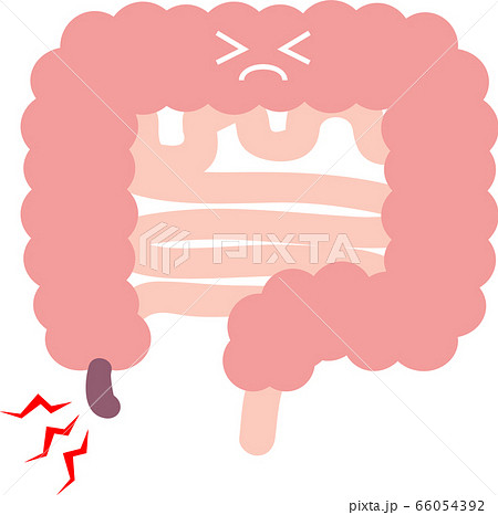 盲腸のイラスト素材