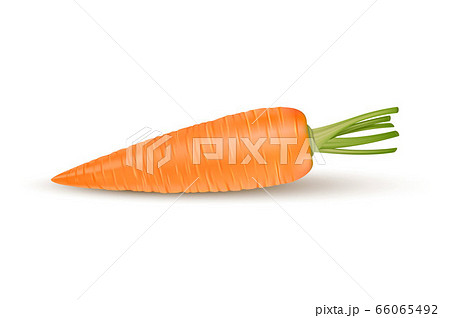 にんじん キャロット 人参 アイコンのイラスト素材