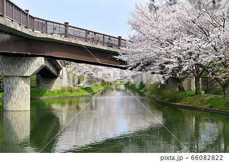 伏見出会い橋の写真素材