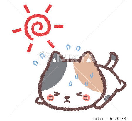 動物 猫 暑い イラストの写真素材
