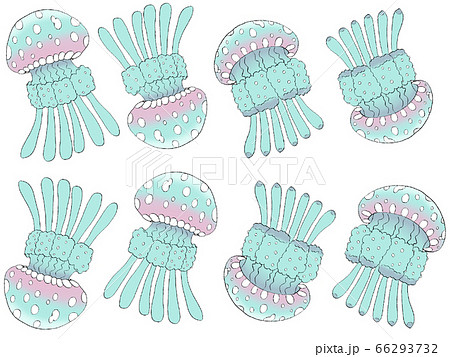 タコクラゲ クラゲ 水色 リアルのイラスト素材