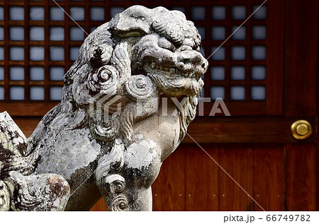 石像 狛犬 守り神 シーサーの写真素材 - PIXTA